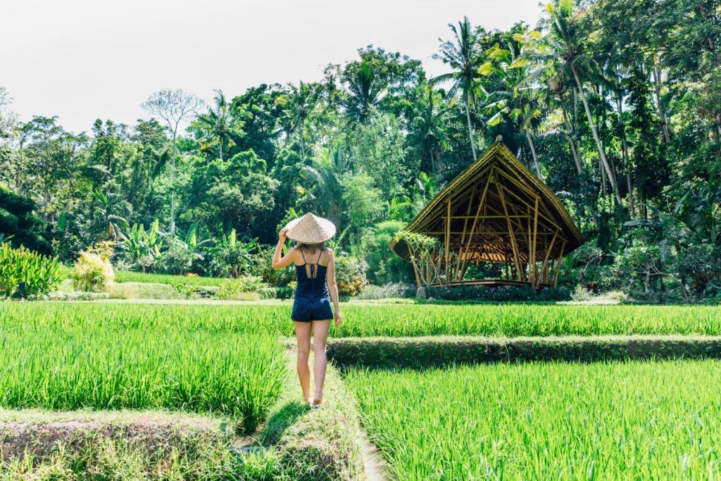 Vila Luxenomads Tanah Lot Oceanview Escape Selemadeg Exteriér fotografie