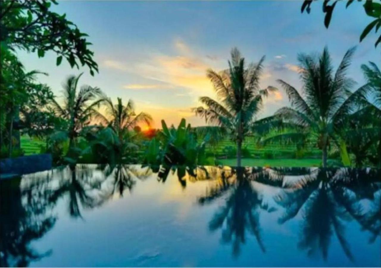 Vila Luxenomads Tanah Lot Oceanview Escape Selemadeg Exteriér fotografie
